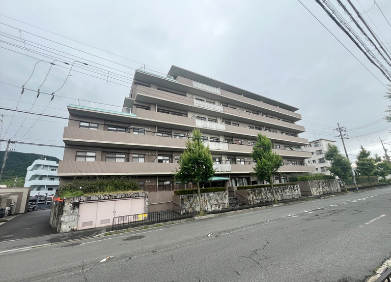 ルネス・ピース醍醐